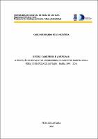 CARLOS EDUARDO SILVA OLIVEIRA  - DISSERTACAO.pdf.jpg