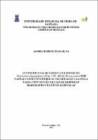 SANDRA RODRIGUES DA SILVA - Tese.pdf.jpg