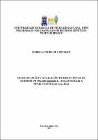 DISSERTAÇÃO - ISABELLA VIEIRA CARVALHO.pdf.jpg