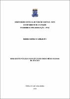 NAIANA CARVALHO GONÇALVES - Dissertação.pdf.jpg