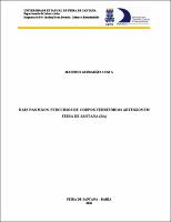 Dissertacao___Matheus_G._Costa___Impressao.pdf.jpg