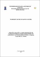 WANDERLEY DIACISO DOS SANTOS OLIVEIRA - Tese.pdf.jpg